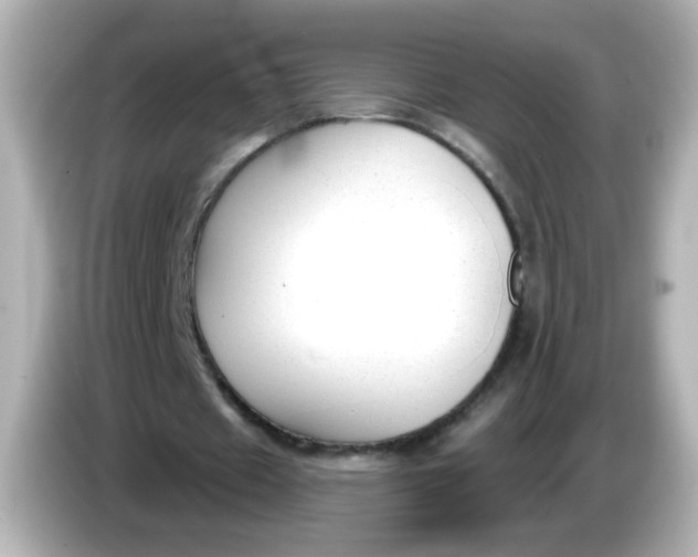 X0000086050433200704091212