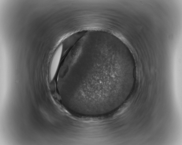 X0000086050434200704091212