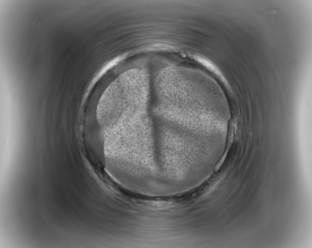 X0000086050436200704091212