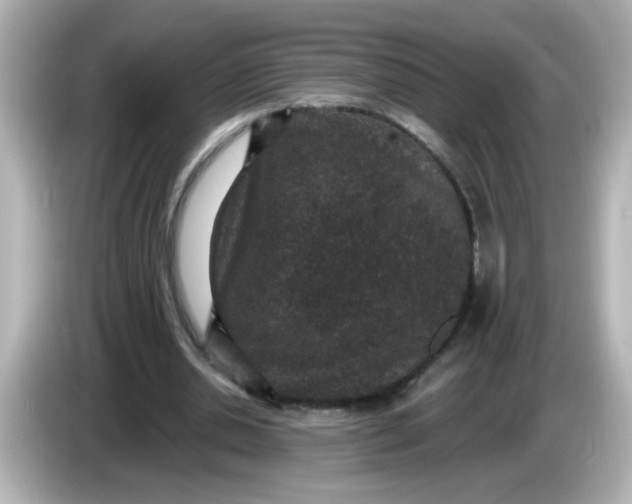 X0000086050438200704091212