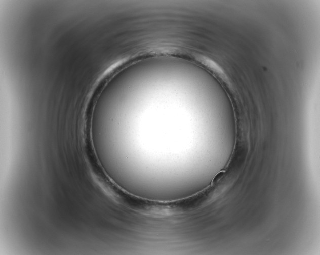 X0000086050439200704091212
