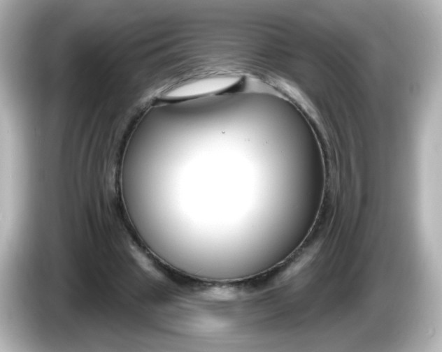 X0000086050441200704091212