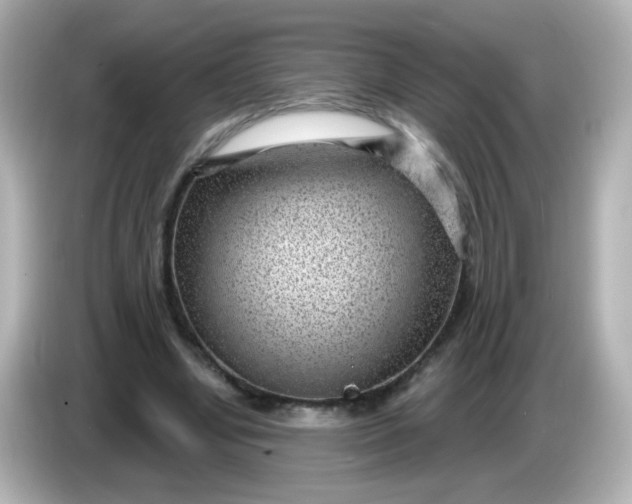X0000086050442200704091212