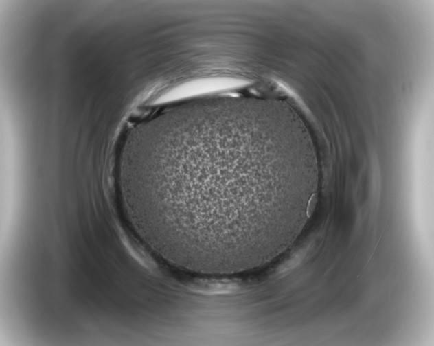 X0000086050443200704091212