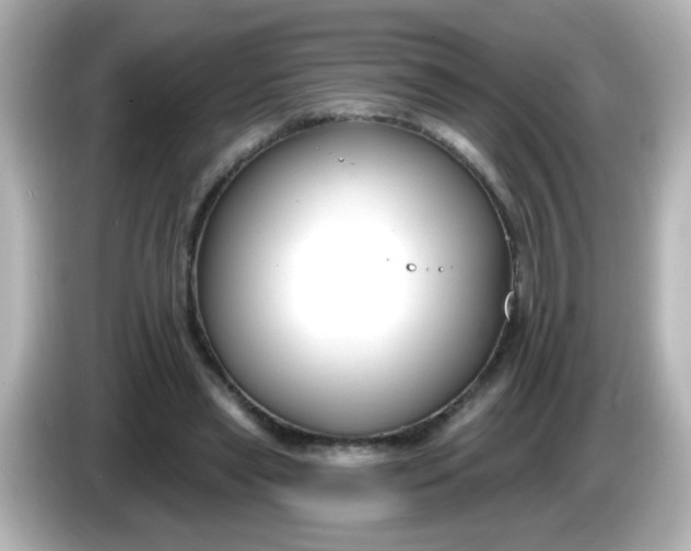 X0000086050445200704091212