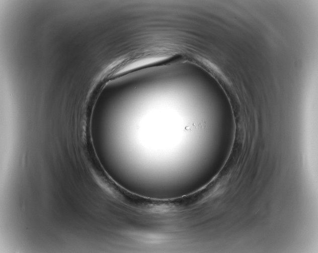 X0000086050446200704091212