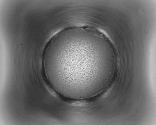 X0000086050447200704091212