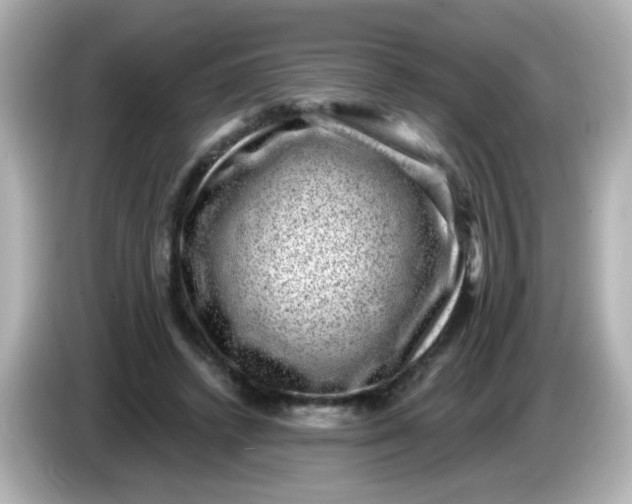 X0000086050448200704091212