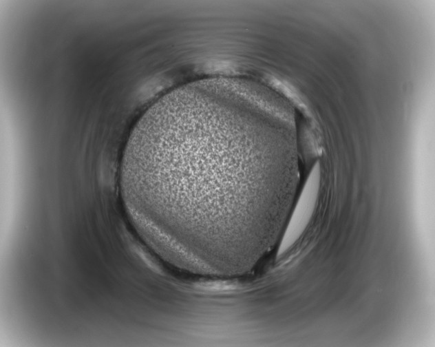 X0000086050449200704091212