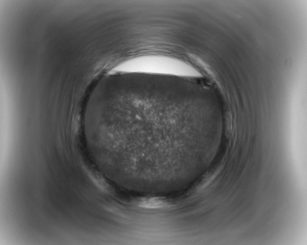 X0000086050451200704091212