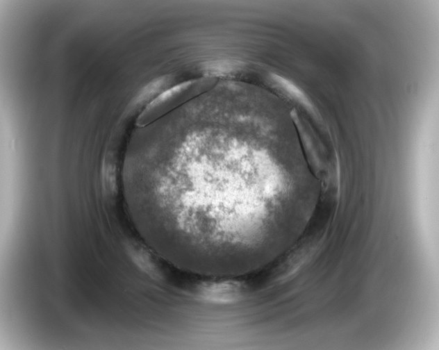 X0000086050452200704091212