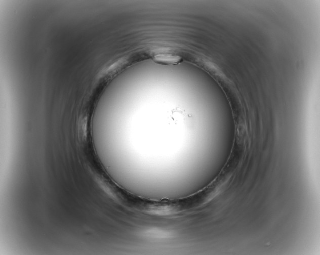 X0000086050454200704091212