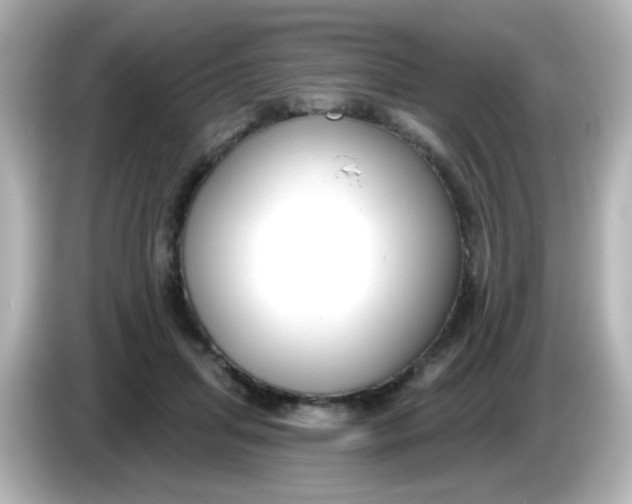 X0000086050455200704091212