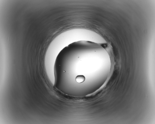 X0000086050456200704091212