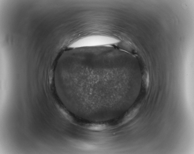 X0000086050458200704091212
