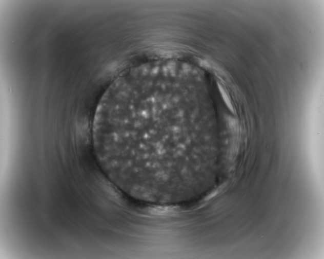 X0000086050465200704091213