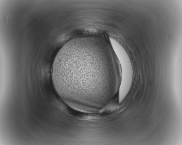 X0000086050466200704091213
