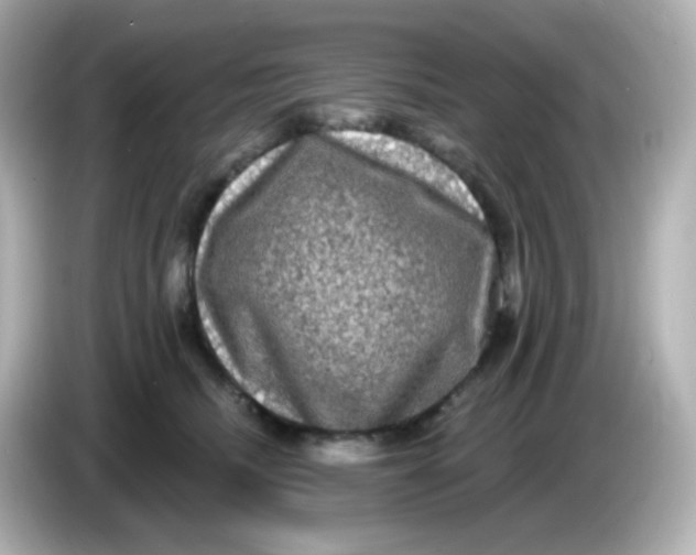 X0000086050468200704091213