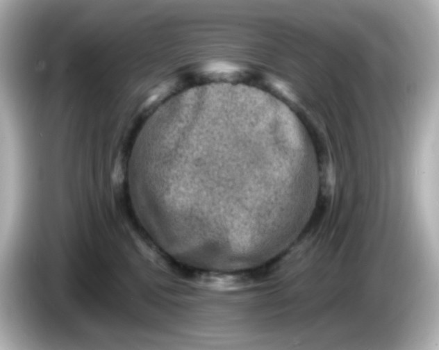 X0000086050472200704091213