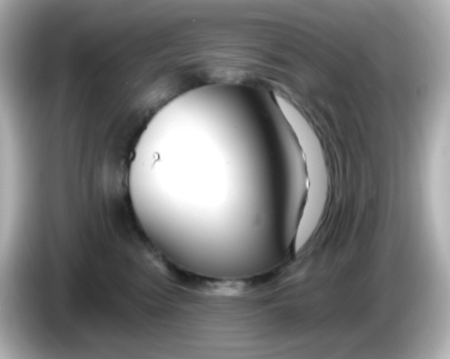 X0000086050474200704091213