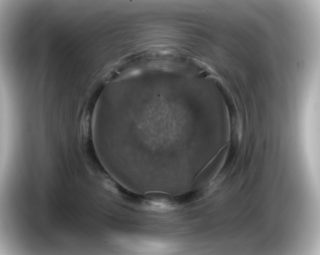 X0000086050475200704091213
