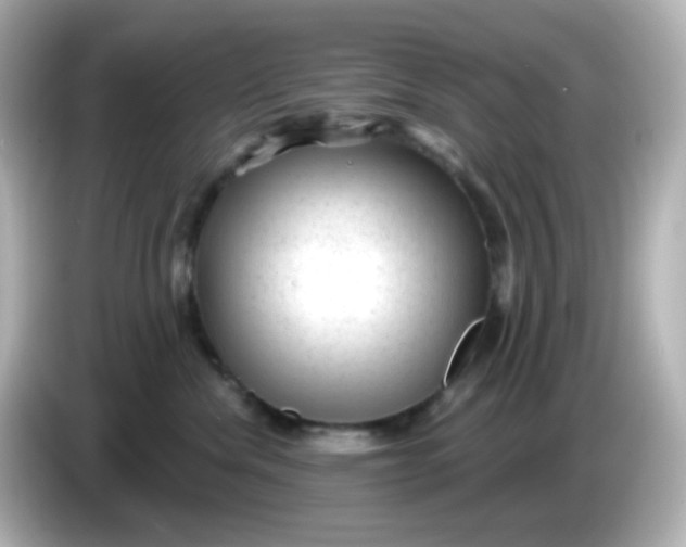 X0000086050476200704091213