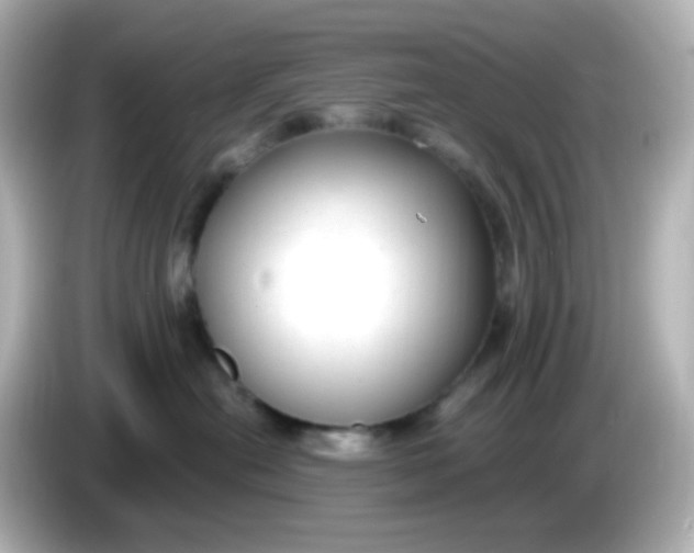 X0000086050478200704091213