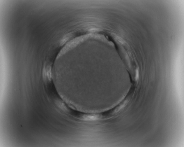 X0000086050479200704091213