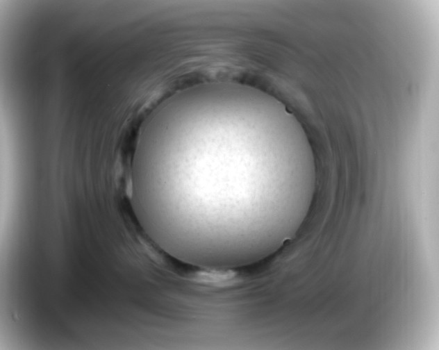 X0000086050480200704091213