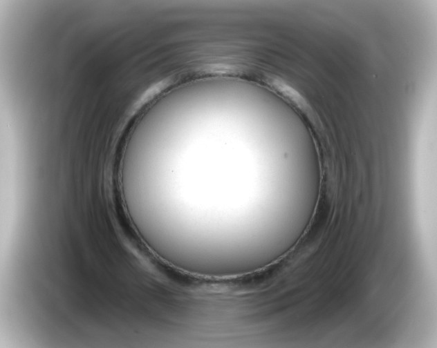 X0000086050482200704091212