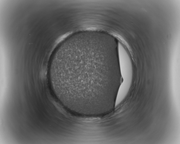 X0000086050483200704091212