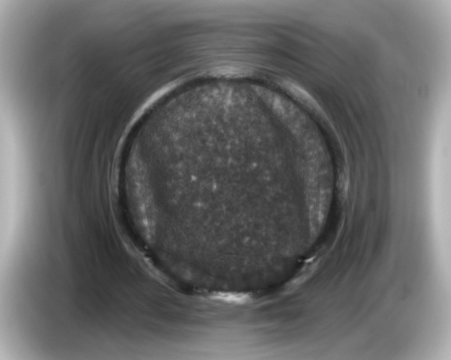 X0000086050484200704091212