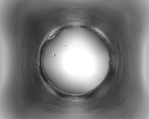 X0000086050486200704091212
