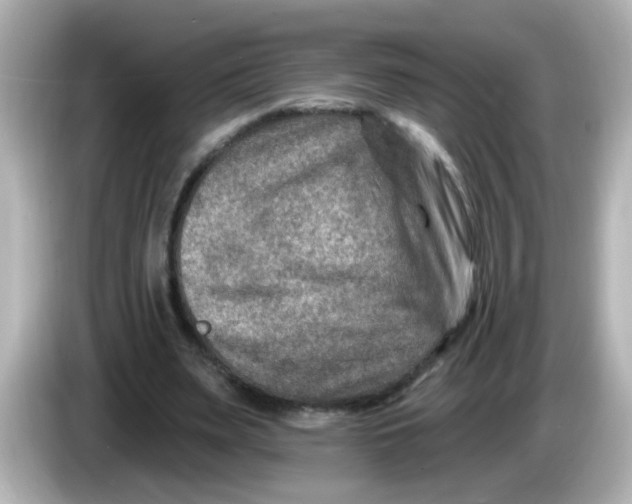 X0000086050487200704091212