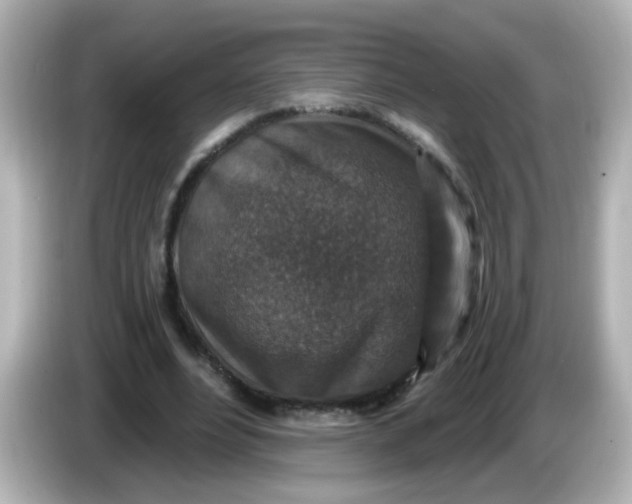 X0000086050488200704091212