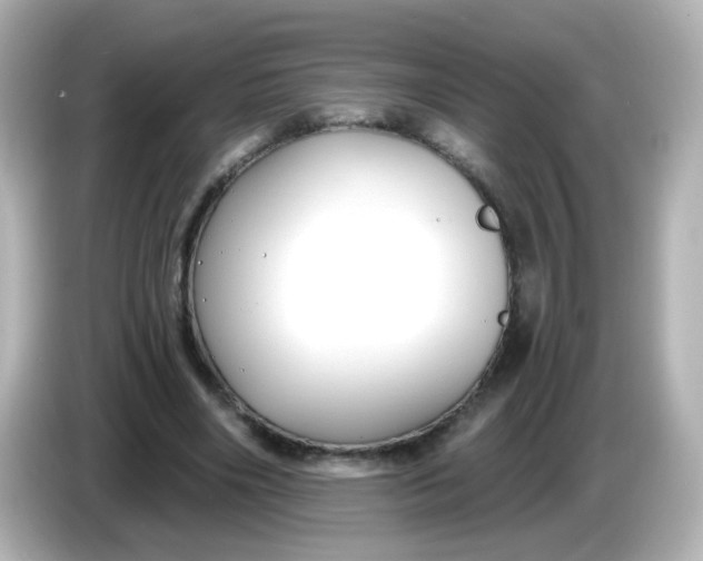 X0000086050490200704091212