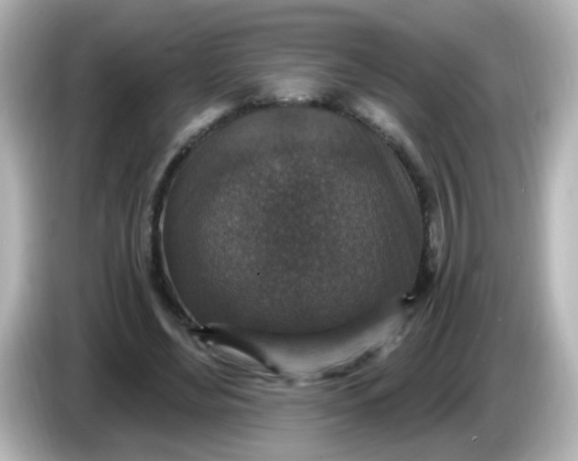 X0000086050492200704091212