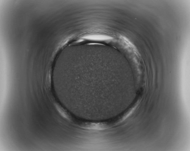 X0000086050493200704091212