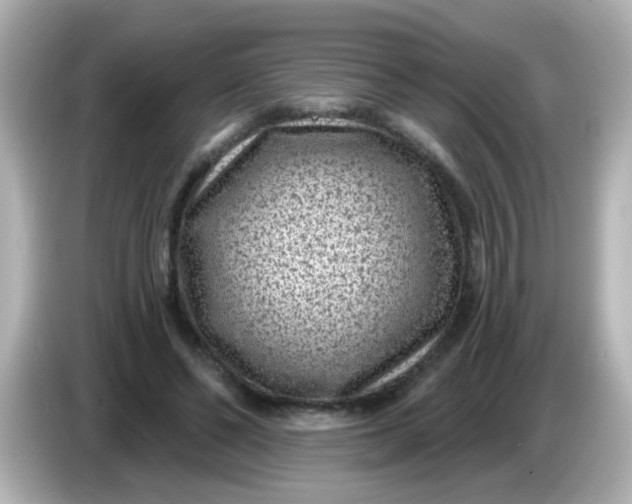 X0000086050494200704091212