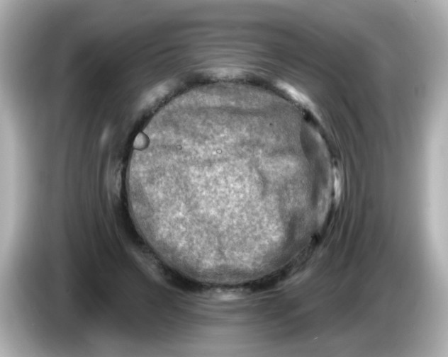 X0000086050495200704091212