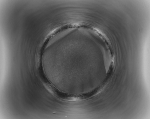 X0000086050496200704091212