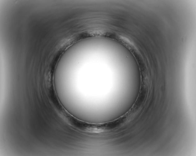 X0000086050498200704091212