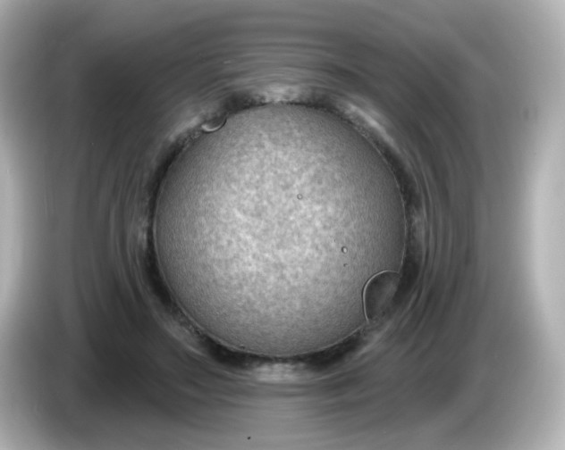 X0000086050499200704091212