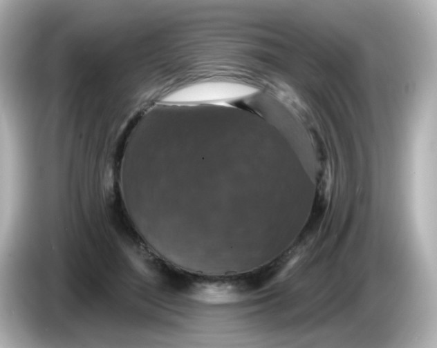 X0000086050500200704091212