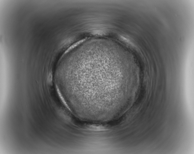 X0000086050502200704091212