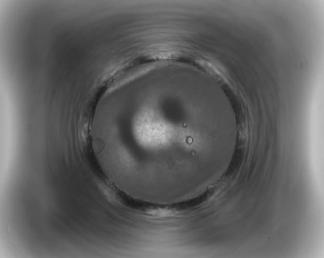 X0000086050503200704091212