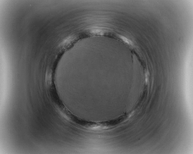 X0000086050504200704091212