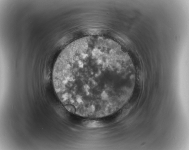 X0000086050507200704091212