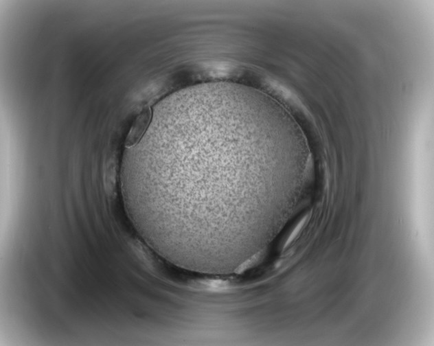 X0000086050509200704091212