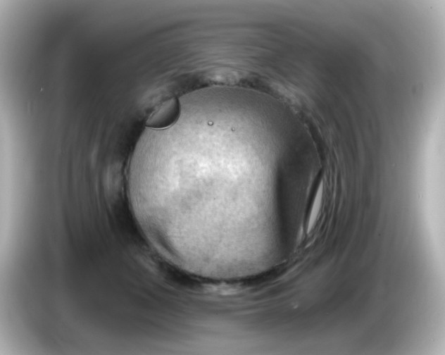X0000086050511200704091212